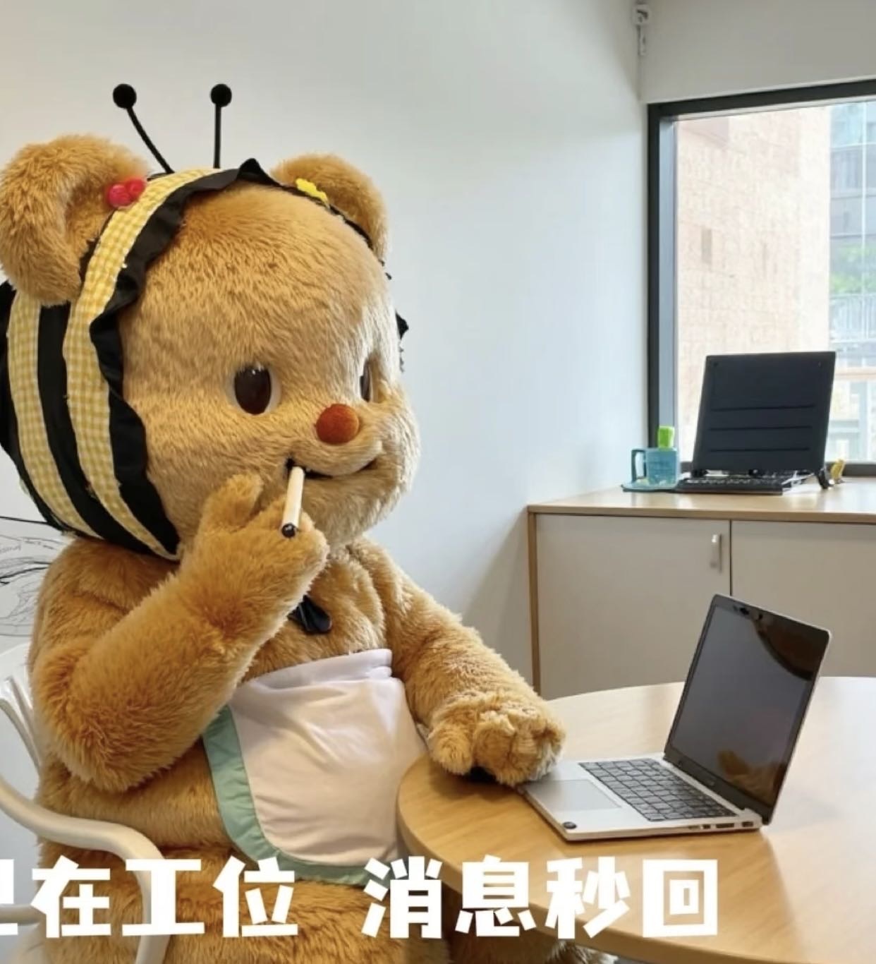 小熊说事